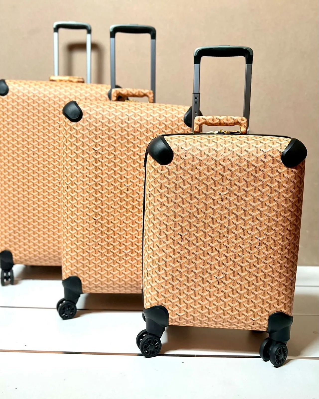 Goyard Bourget Trolley photo 1