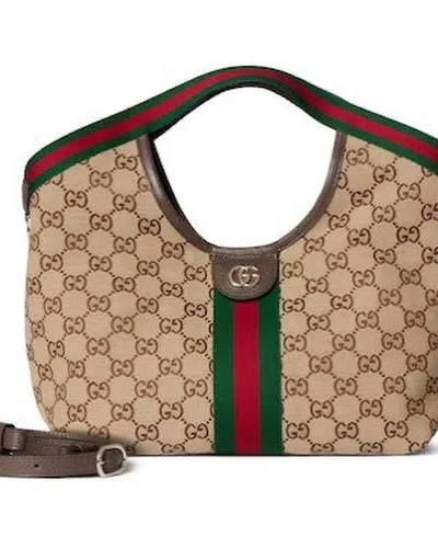 Gucci Linea Web Hobo photo 1