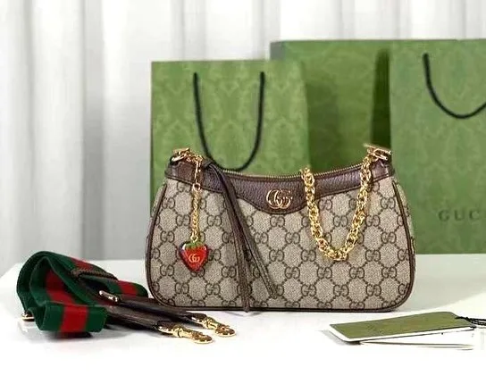 Gucci Ophidia Chain Hobo photo 1